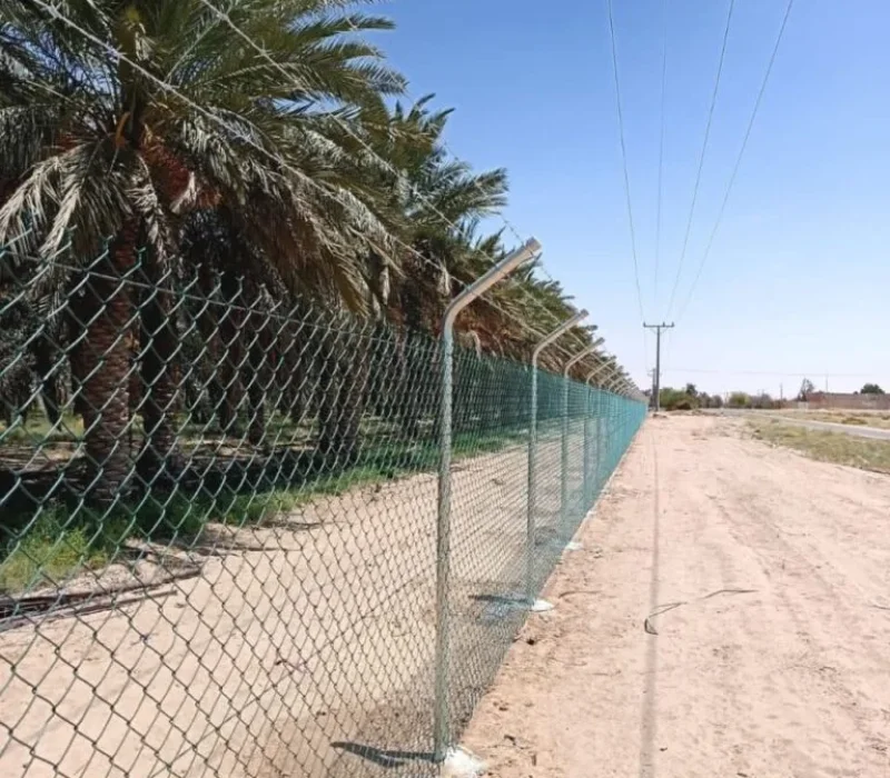 شبوك زراعية لحماية المزارع – القرني حداد 2000